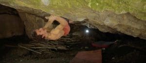 Adam Ondra eröffnet den schwersten Boulder Tschechiens: Brutal Rider (8c+)