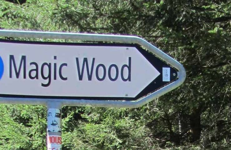 Los seis cantos rodados de Magic Wood más hermosos en las áreas 5b a 7a