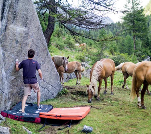 Das Val Daone vereint kompakten Fels mit eindrücklicher Natur. Bild: Sara Grippo