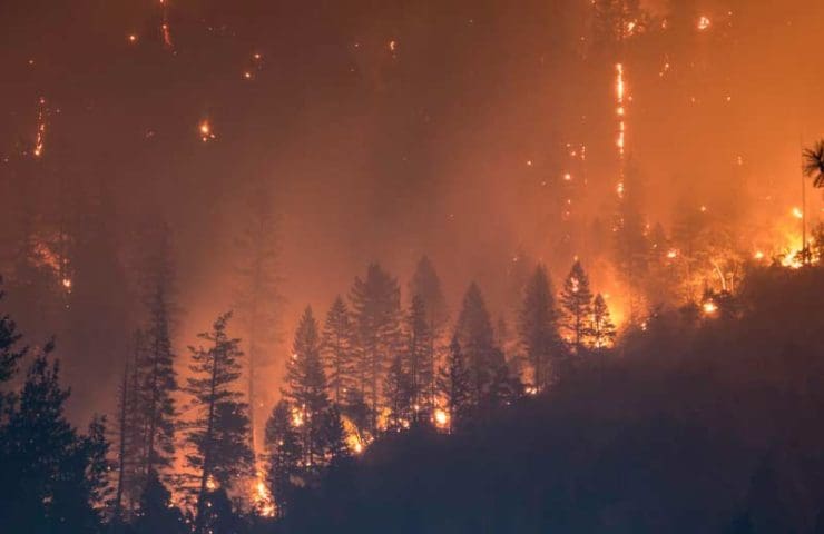 Incendie de forêt Obligation de couverture anti-feu au Tessin