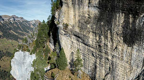 Bietet im Sommer wie im Herbst angenehme Kletterbedingungen: Der Klettergarten Gemschifluh. Bild: Sandro von Känel