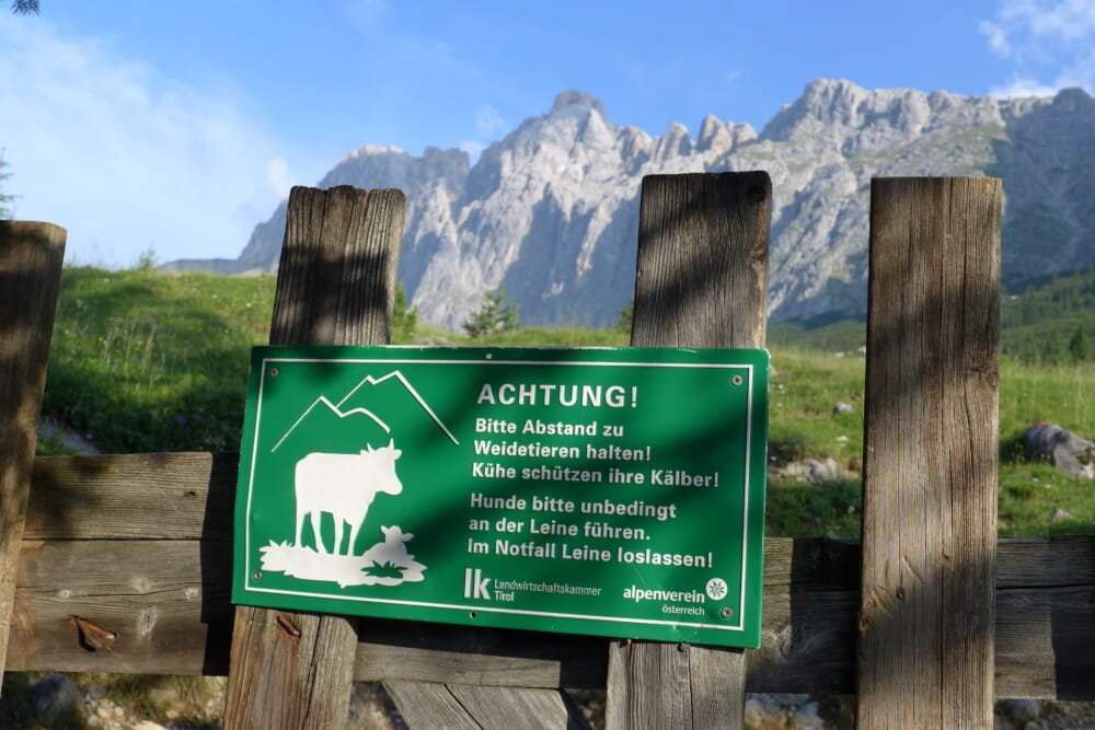 Hinweisschild Kühe